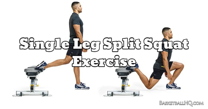 Single leg squats online for beginners